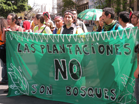 Banner photo (Plantations Are Not Forests):  Petermann/GJEP-GFC