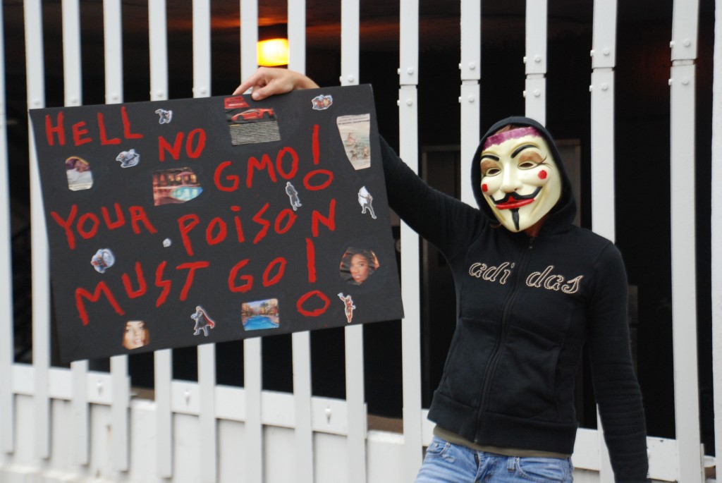 Activist in Guy Fawks mask protests Monsanto during Occupy Monsanto day of action.  Photo: Langelle/GJEP