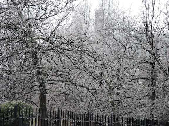 Icy park and wrought iron. Photo: Petermann