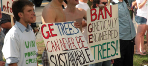Protesters denounce GE trees at a meeting of the Sustainable Forestry Initiative in 2011 (image by Anne Petermann/Global Justice Ecology Project)